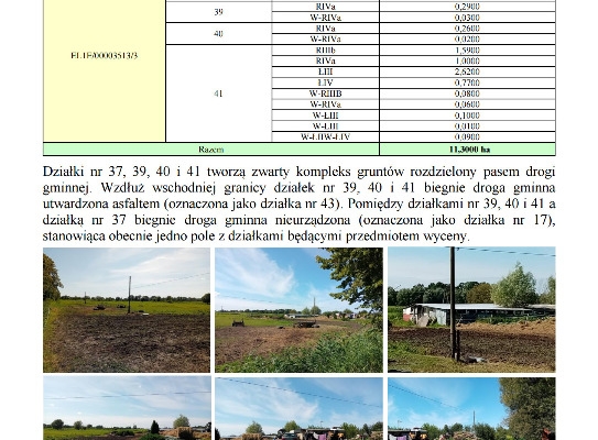 Ogłoszenie - Syndyk sprzeda udziały w grunatach Żurawiec, Żółwiniec, Jurandowo. Zdjęcie 2
