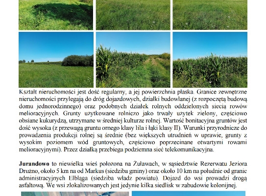 Ogłoszenie - Syndyk sprzeda udziały w grunatach Żurawiec, Żółwiniec, Jurandowo. Zdjęcie 4