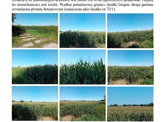 Ogłoszenie - Syndyk sprzeda udziały w grunatach Żurawiec, Żółwiniec, Jurandowo. Zdjęcie 5