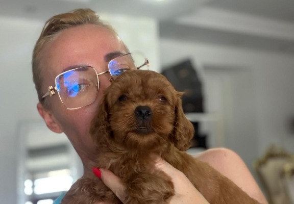 Ogłoszenie - Goldendoodle Piękne Szczenięta. Zdjęcie 6