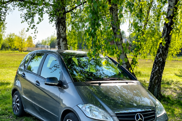 Ogłoszenie - Mercedes-Benz Klasa A160 BlueEfficiency 2010. Zdjęcie 1