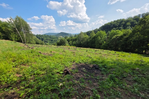 Ogłoszenie - Działka BUDOWLANA – 28 arów, Bieszczady, Bóbrka, k. SOLINA. Zdjęcie 2