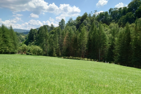 Ogłoszenie - Działka BUDOWLANA 30 ary Bieszczady, Bóbrka, k. SOLINA. Zdjęcie 1