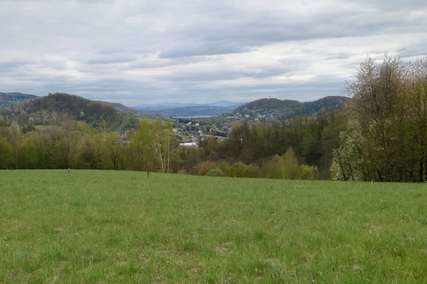 Ogłoszenie - Działka BUDOWLANA - widokowa, Bieszczady, Bóbrka, k. SOLINA   - 64 ary. Zdjęcie 2