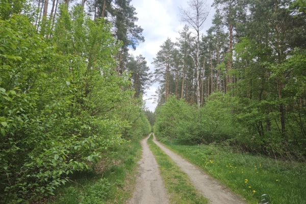 Ogłoszenie - Działka inwestycyjna (3012 met) okolice Wrocławia (Ostrowina). Zdjęcie 4