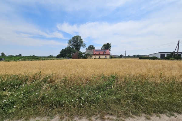 Ogłoszenie - Działka Budowlana (2000 m2) MEDIA (Brzozowiec). Zdjęcie 10