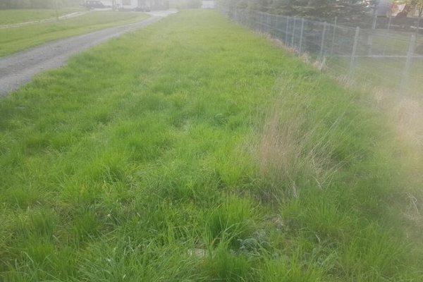 Ogłoszenie - sprzedaż działki budowlanej 1400 m2 szalfary przy termach 300 tysięcy. Zdjęcie 3
