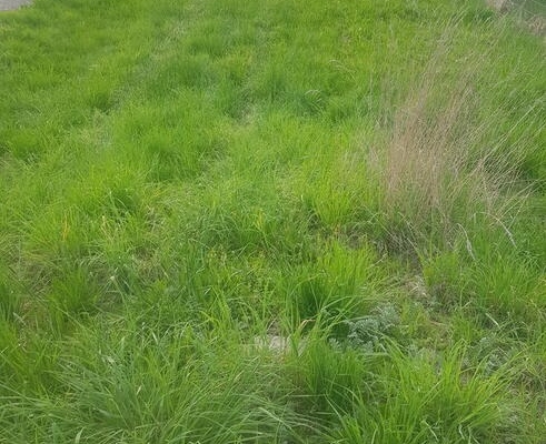 Ogłoszenie - sprzedaż działki budowlanej 1400 m2 szalfary przy termach 300 tysięcy. Zdjęcie 5