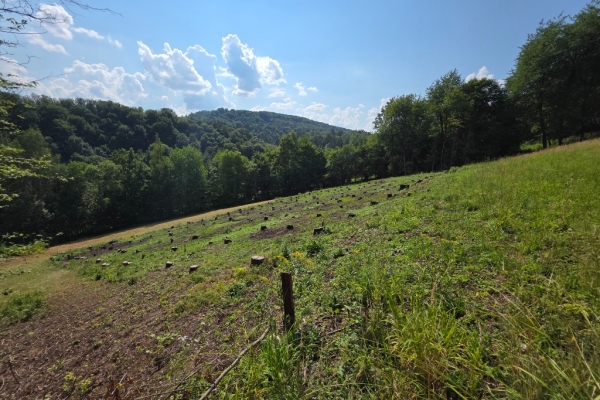 Ogłoszenie - Działka BUDOWLANA – 28 arów, Bieszczady, Bóbrka, k. SOLINA. Zdjęcie 3