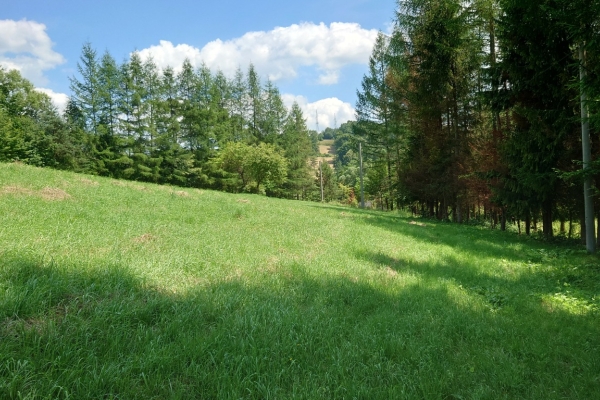Ogłoszenie - Działka BUDOWLANA 30 ary Bieszczady, Bóbrka, k. SOLINA. Zdjęcie 4
