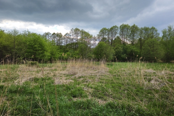 Ogłoszenie - Działka inwestycyjna (3012 met) okolice Wrocławia (Ostrowina). Zdjęcie 8
