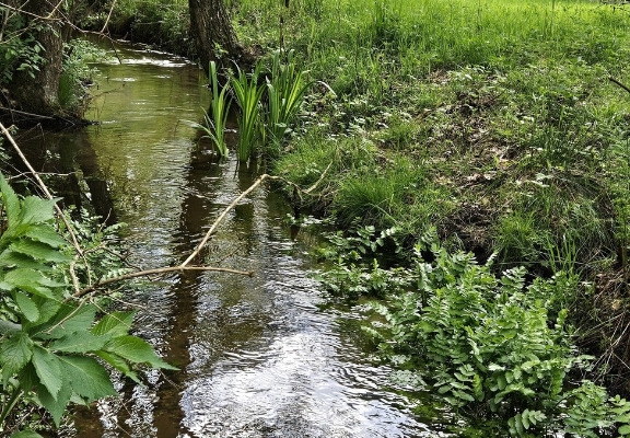 Ogłoszenie - Działka inwestycyjna (3012 met) okolice Wrocławia (Ostrowina). Zdjęcie 10