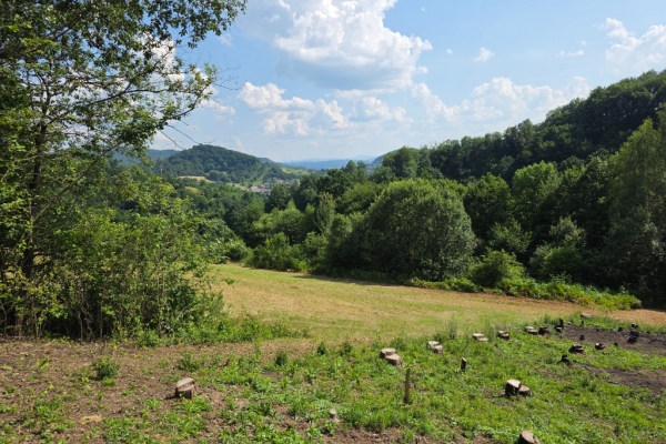 Ogłoszenie - Działka BUDOWLANA – 28 arów, Bieszczady, Bóbrka, k. SOLINA. Zdjęcie 4