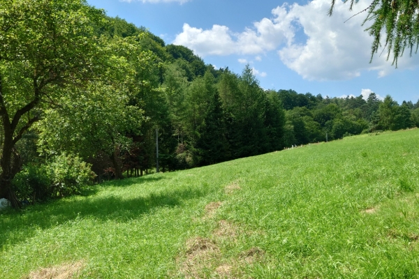 Ogłoszenie - Działka BUDOWLANA 30 ary Bieszczady, Bóbrka, k. SOLINA. Zdjęcie 2
