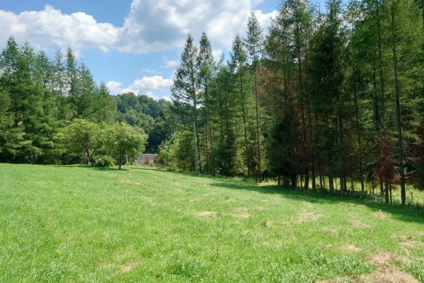 Ogłoszenie - Działka BUDOWLANA 30 ary Bieszczady, Bóbrka, k. SOLINA. Zdjęcie 3