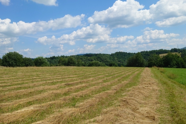 Ogłoszenie - Działka BUDOWLANA - widokowa, Bieszczady, Bóbrka, k. SOLINA   - 64 ary. Zdjęcie 4