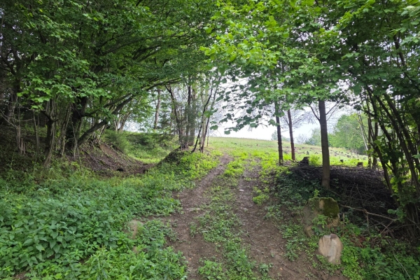 Ogłoszenie - Działka BUDOWLANA – 28 arów, Bieszczady, Bóbrka, k. SOLINA. Zdjęcie 7