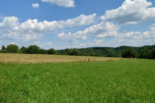 Ogłoszenie - Działka BUDOWLANA - widokowa, Bieszczady, Bóbrka, k. SOLINA   - 64 ary. Zdjęcie 6