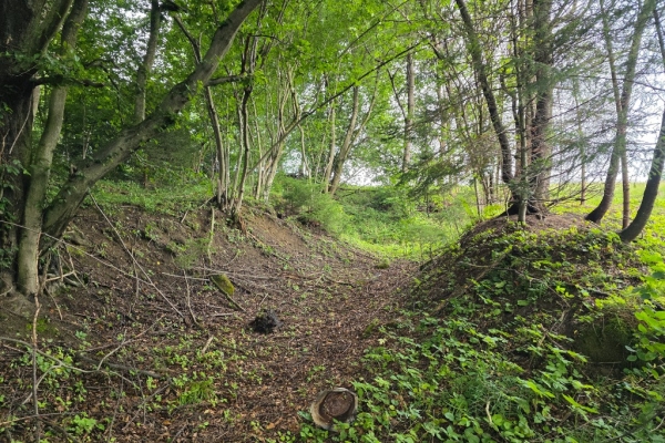 Ogłoszenie - Działka BUDOWLANA – 28 arów, Bieszczady, Bóbrka, k. SOLINA. Zdjęcie 8