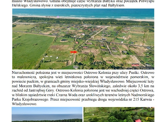 Ogłoszenie - Syndyk sprzeda działkę Ostrowo Kolonia. Zdjęcie 2
