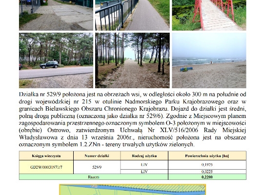 Ogłoszenie - Syndyk sprzeda działkę Ostrowo Kolonia. Zdjęcie 3