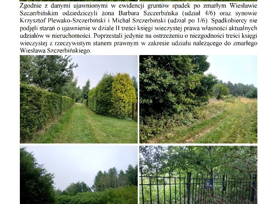 Ogłoszenie - Syndyk sprzeda działkę Ostrowo Kolonia. Zdjęcie 4