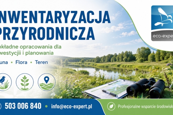 Ogłoszenie - Twoje inwestycje w rękach ekspertów. Zdjęcie 1