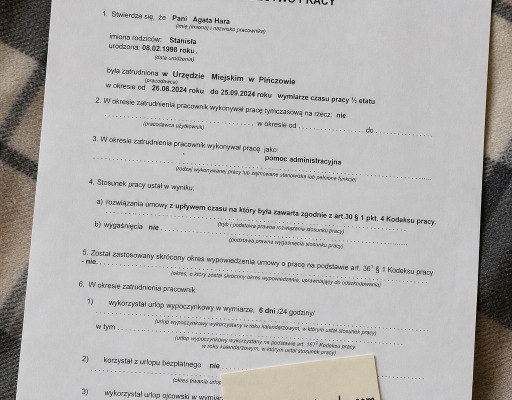 Ogłoszenie - Wykonanie dokumentów różnego typu. Zdjęcie 1