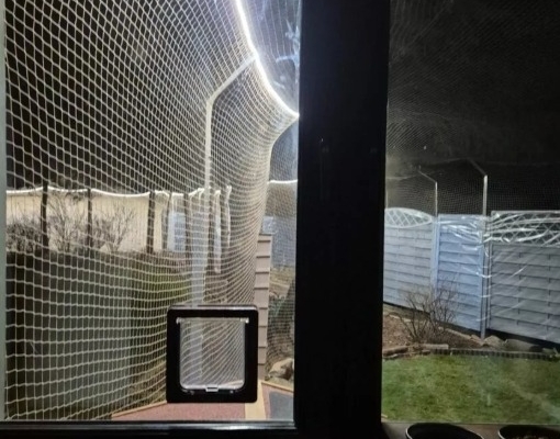 Ogłoszenie - Kluczbork siatka kot gołąb bezinwazyjny montaż. Zdjęcie 2