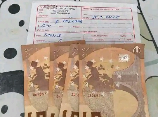 Ogłoszenie - Potrzebujesz pilnej pożyczki?. Zdjęcie 1