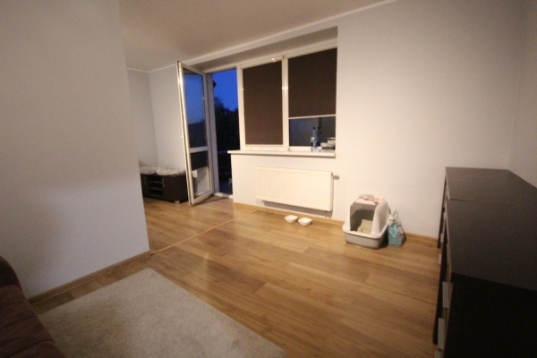 Ogłoszenie - 4pok, 150met, okolice Dzielnicowej 2 BALKONY/PARKING/OGRÓD (Wrocław). Zdjęcie 4