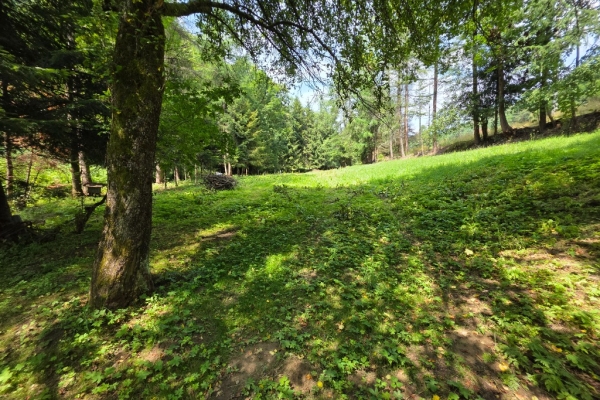 Ogłoszenie - Działka BUDOWLANA i dom. 31 ary Bieszczady, Bóbrka, k. SOLINA. Zdjęcie 6
