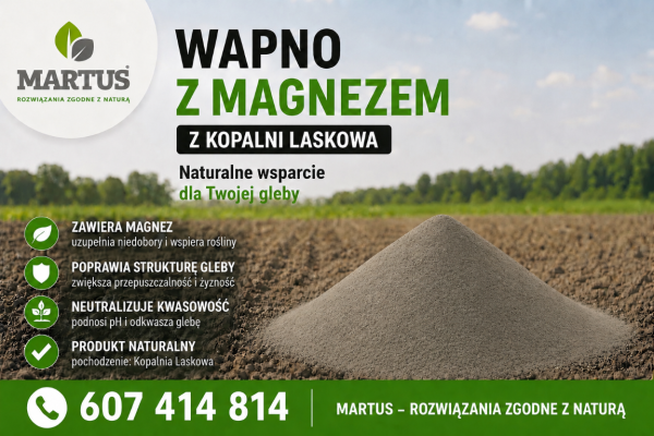 Ogłoszenie - Wapno węglanowe z magnezem z Kopalni Laskowa. Zdjęcie 1