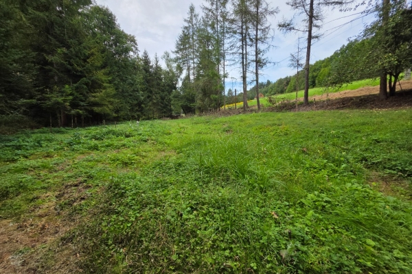 Ogłoszenie - Działka BUDOWLANA i dom. 31 ary Bieszczady, Bóbrka, k. SOLINA. Zdjęcie 7