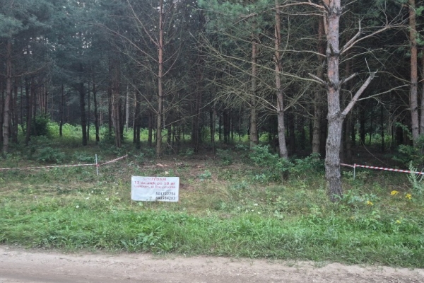 Ogłoszenie - Działka 10ar Laskowiec. Zdjęcie 2