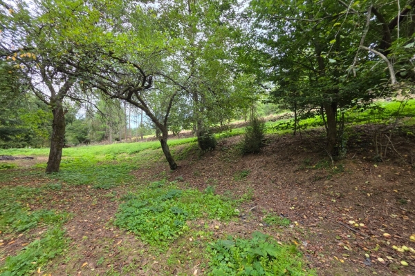 Ogłoszenie - Działka BUDOWLANA 31 ary Bieszczady, Bóbrka, k. SOLINA. Zdjęcie 5