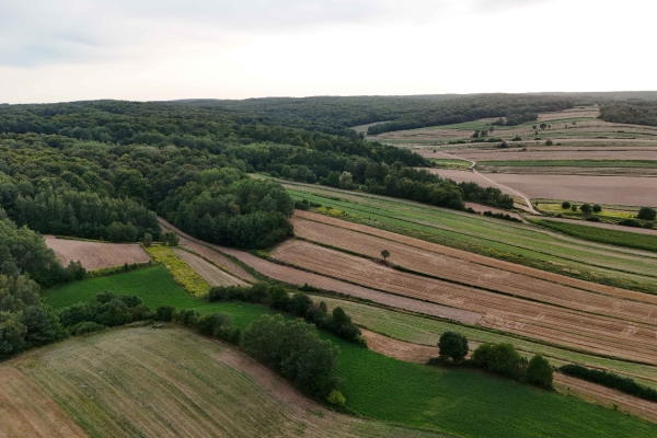 Ogłoszenie - Działka 60+ arów w Tarnawie Dużej – 75 000 zł, asfalt i media. Zdjęcie 3