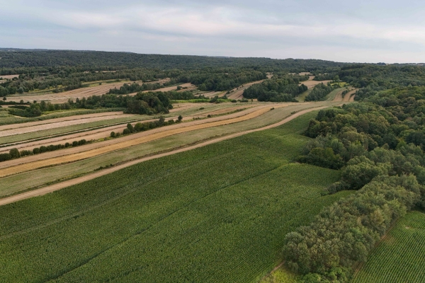 Ogłoszenie - Działka 60+ arów w Tarnawie Dużej – 75 000 zł, asfalt i media. Zdjęcie 4