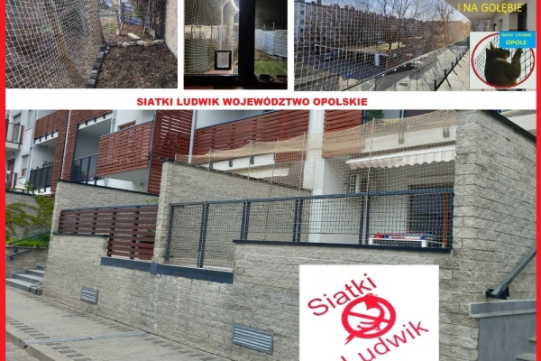 Ogłoszenie - Kluczbork siatka kot gołąb bezinwazyjny montaż. Zdjęcie 5