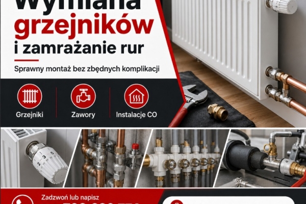 Ogłoszenie - Stare Miasto, Śródmieście, Krzyki, Psie Pole - ROST pomoże na miejscu. Zdjęcie 1