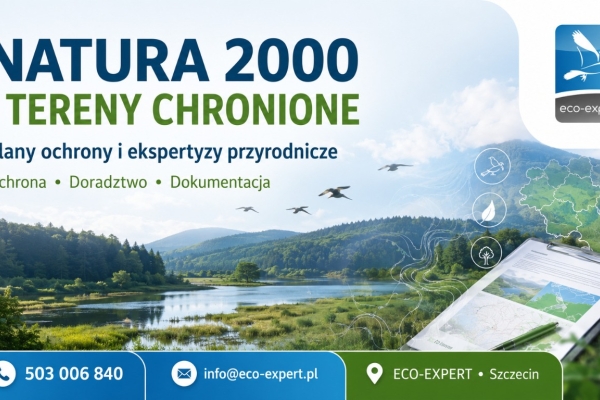 Ogłoszenie - Profesjonalna obsługa inwestycji. Zdjęcie 1