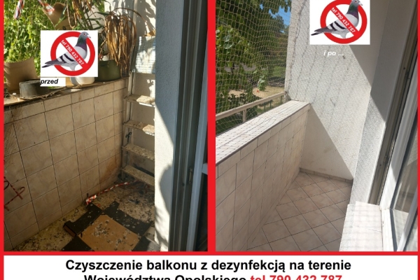 Ogłoszenie - Kluczbork siatka kot gołąb bezinwazyjny montaż. Zdjęcie 7