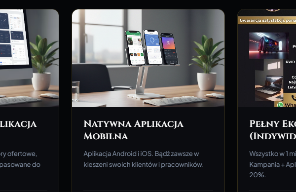 Ogłoszenie - STRONA INTERNETOWA SKLEP INTERNETOWY STRONY PRZEDSIĘBIORCA. Zdjęcie 10