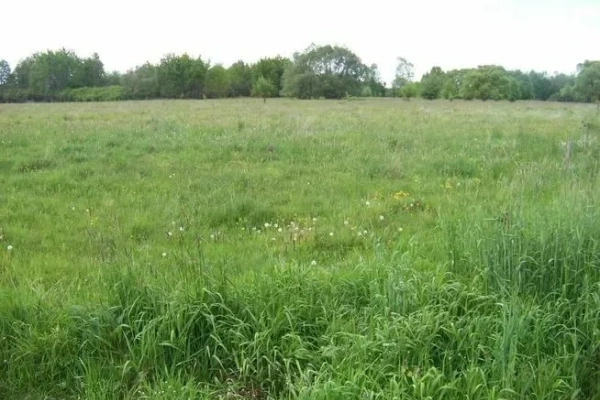 Ogłoszenie - Działka nad Bugiem. Zdjęcie 1