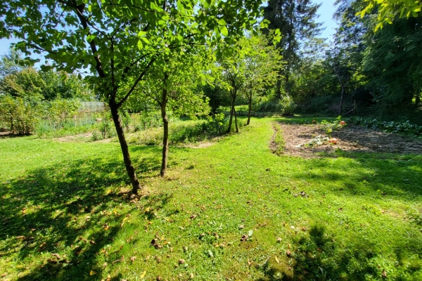 Ogłoszenie - Dom na pogórzu przemyskim (zalążek Bieszczad). Zdjęcie 3