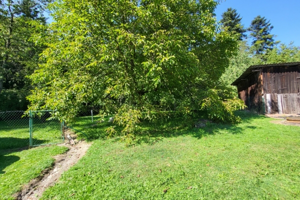 Ogłoszenie - Dom na pogórzu przemyskim (zalążek Bieszczad). Zdjęcie 5