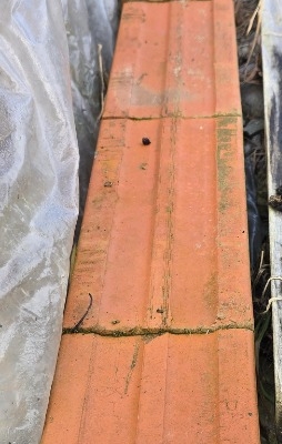 Ogłoszenie - Pustak ceramiczny Porotherm 11,5 P+W KL.100 49,8 x 11,5 x 23,8 cm LE Wienerberger. Zdjęcie 3