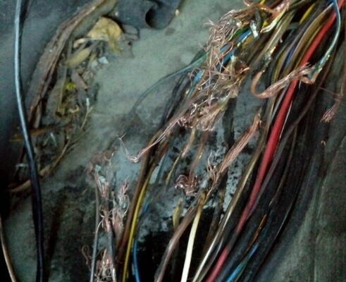 Ogłoszenie - Naprawa wiązek instalacji elektrycznych kombajnów. Zdjęcie 2