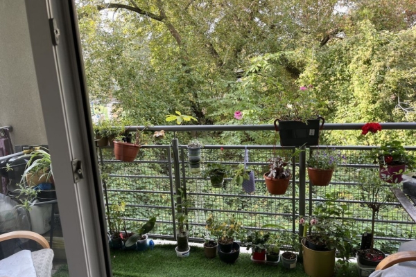 Ogłoszenie - 1pok, 20met, okolice Rakowieckiej BALKON/MP (Wrocław). Zdjęcie 7