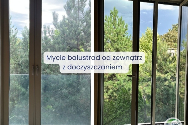 Ogłoszenie - Mycie okien w mieszkaniach – Poznań, Komorniki, Luboń, Wiry, Plewiska, Szreniawa, Puszczykowo i okolice. Zdjęcie 7